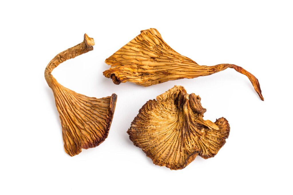 Buy Chanterelles Mushroom Online  Arizona 